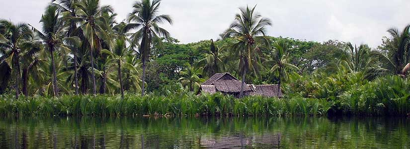 Southern Samar coast in the Philippines is jungle and good cover for guerrillas during war between Philippines and America in Gilded Age