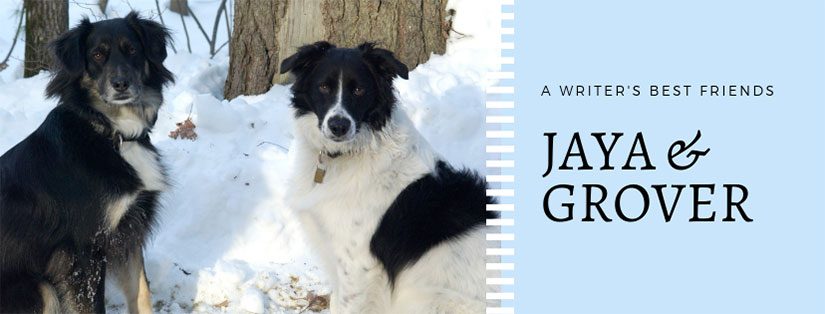 Jaya and Grover: A Writer’s Best Friends