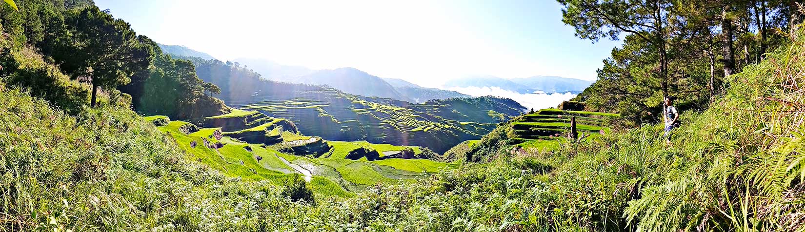 Maligcong rice terraces in Bontoc.